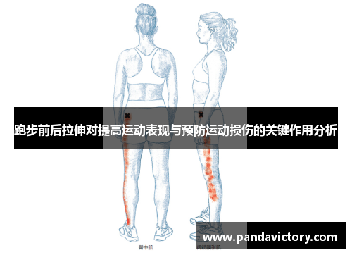 跑步前后拉伸对提高运动表现与预防运动损伤的关键作用分析