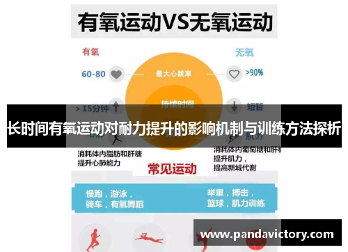 长时间有氧运动对耐力提升的影响机制与训练方法探析