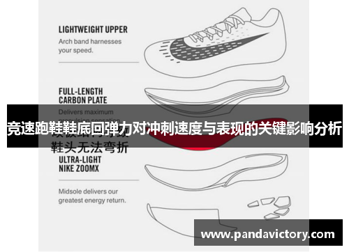 竞速跑鞋鞋底回弹力对冲刺速度与表现的关键影响分析