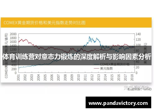 体育训练营对意志力锻炼的深度解析与影响因素分析