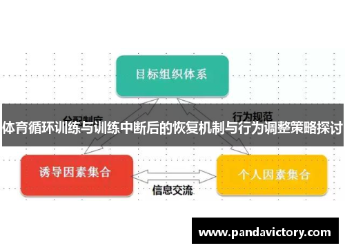 体育循环训练与训练中断后的恢复机制与行为调整策略探讨