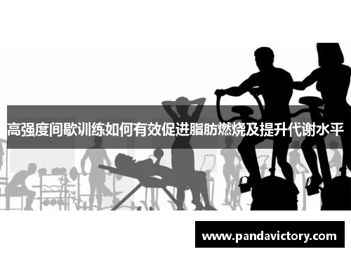 高强度间歇训练如何有效促进脂肪燃烧及提升代谢水平